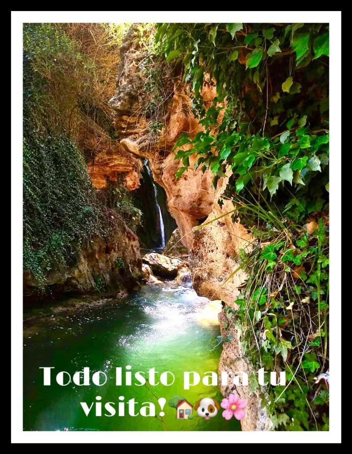 Apartamento Rural La Cascada De Calmarza Dış mekan fotoğraf