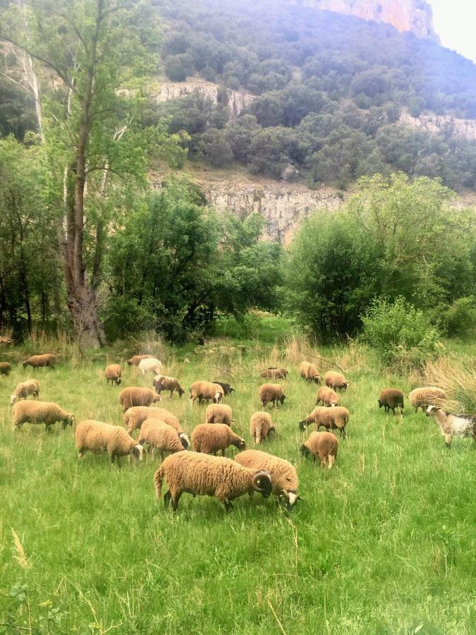 Apartamento Rural La Cascada De Calmarza Dış mekan fotoğraf