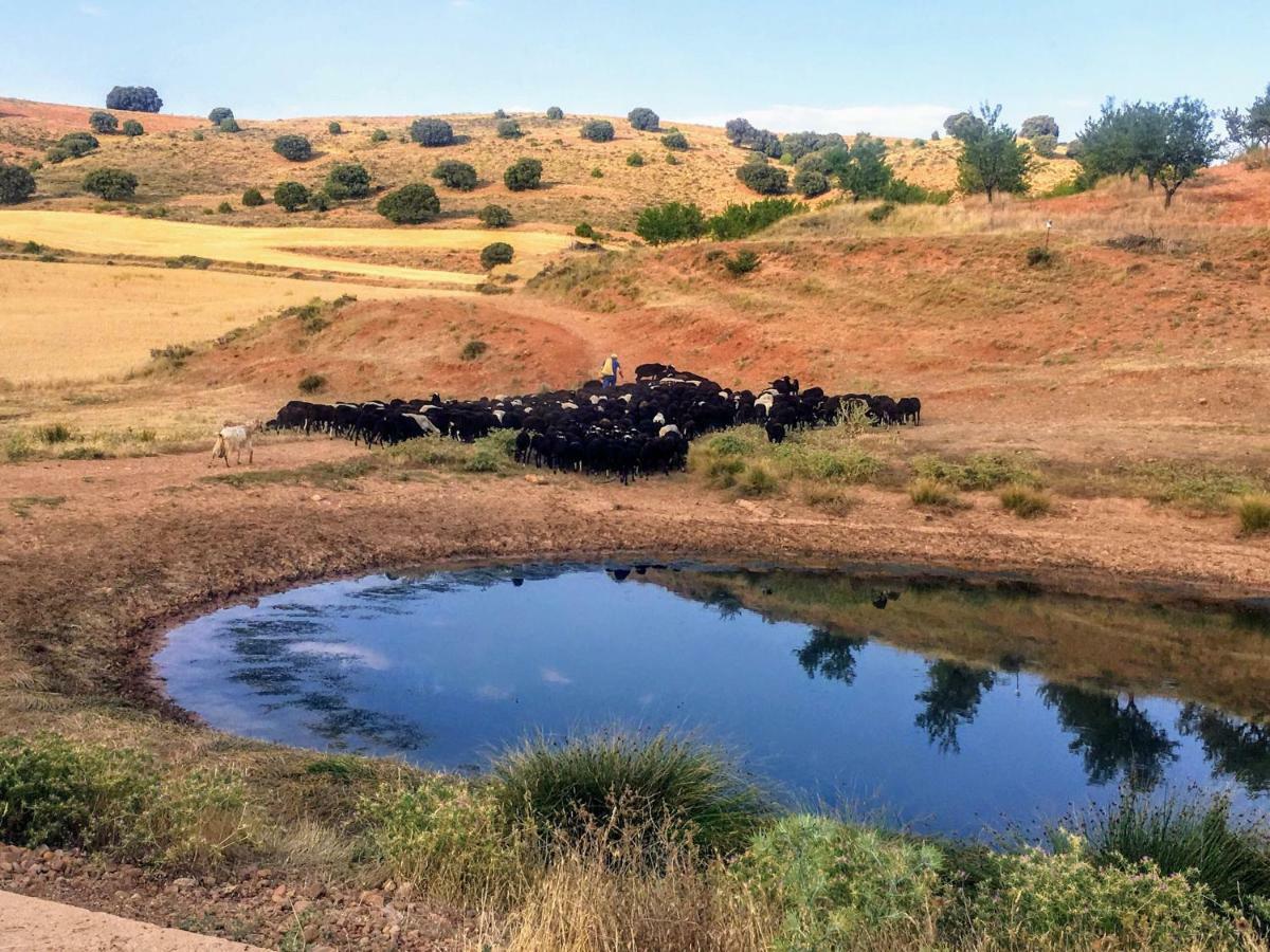 Apartamento Rural La Cascada De Calmarza Dış mekan fotoğraf
