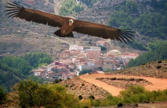 Apartamento Rural La Cascada De Calmarza Dış mekan fotoğraf