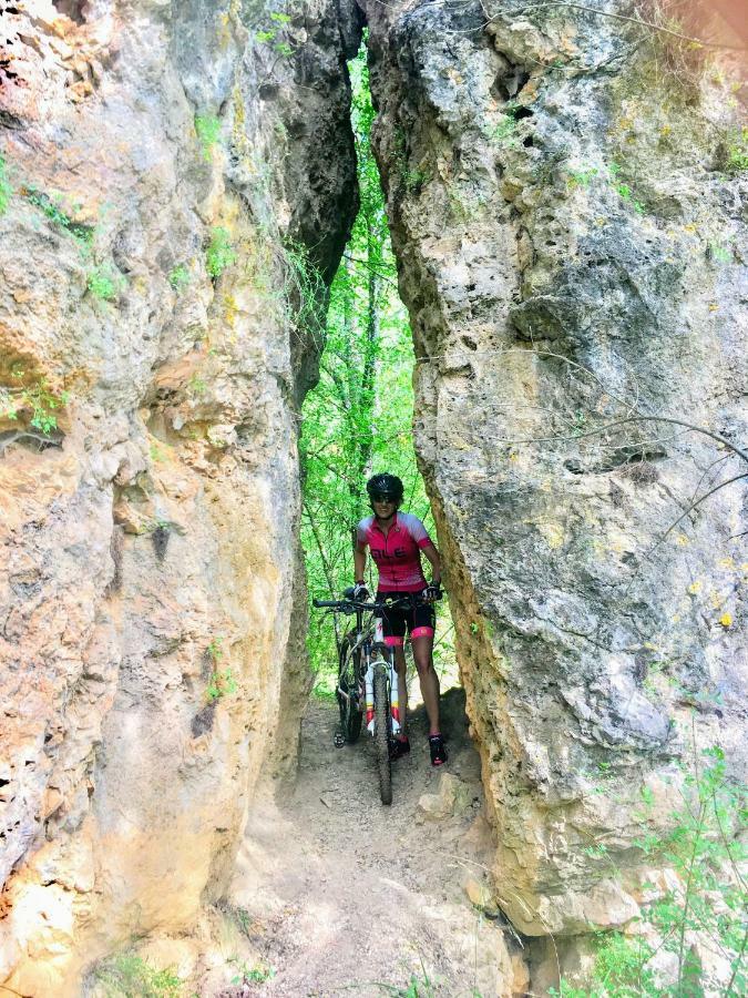 Apartamento Rural La Cascada De Calmarza Dış mekan fotoğraf