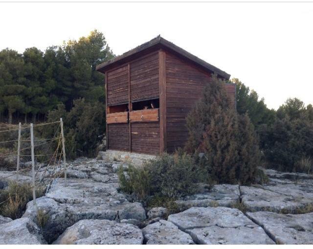 Apartamento Rural La Cascada De Calmarza Dış mekan fotoğraf